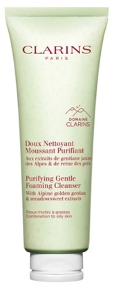 CLARINS PURIFYING GENTLE FOAMING CLEANSER